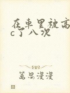 在车里被高潮被c了八次