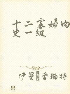 十二寡妇肉床艳史一级