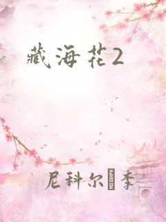 藏海花2
