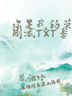 你是我的荣耀未删减TXT番外