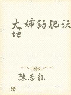 大婶的肥沃的土地