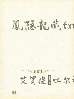 凤隐龙藏txt