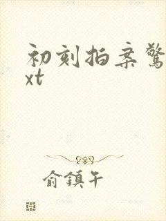 初刻拍案惊奇txt