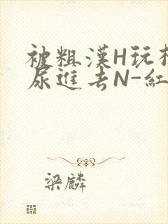 被粗汉H玩松了尿进去N-红-Q