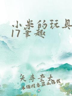 小米的玩具日记17笔趣