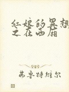 红娘的异想世界之在西厢