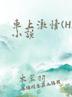 车上激情(H)小说