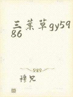 三叶草gy5986