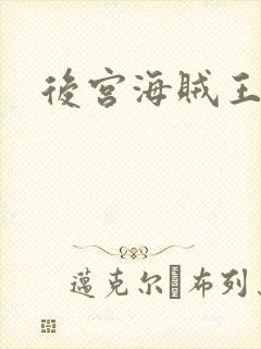 后宫海贼王