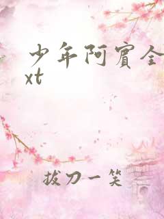 少年阿宾全集txt