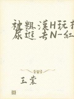 被粗汉H玩松了尿进去N-红-Q