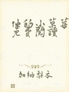 他的小草莓全文免费阅读