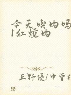 今天吃肉吗1V1红烧肉