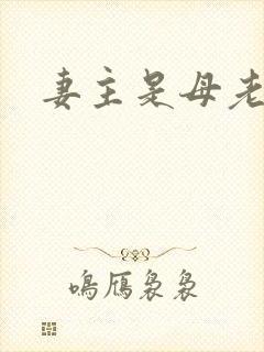 妻主是母老虎