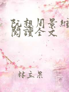 阮想周景维免费阅读全文