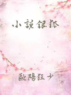 小说银狐