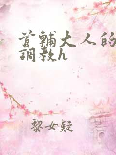 首辅大人的花式调教h