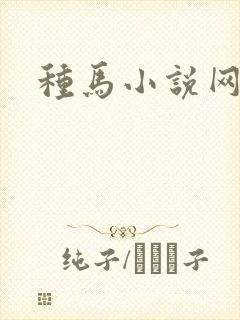 种马小说网