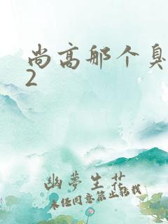 尚高那个臭小子2
