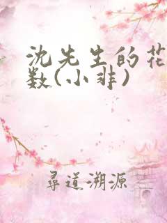 沈先生的花式调数(小非)