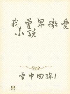 我曾卑微爱过你 小说