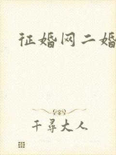 征婚网二婚