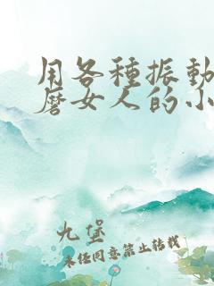 用各种振动器折磨女人的小说