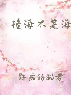 后海不是海小说