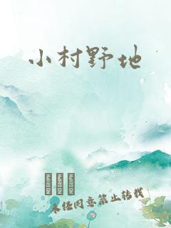 小村野地