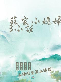 苏家小媳妇1V3小说