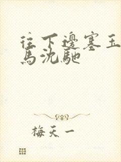 往下边塞玉器骑马沈驰