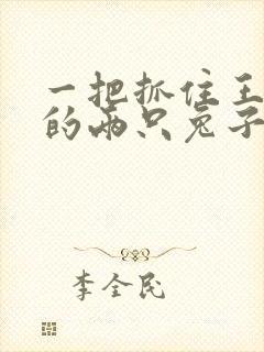 一把抓住王昭君的两只兔子