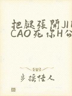 把腿张开JI巴CAO死你H公园