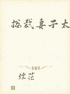 总裁妻子太诱人