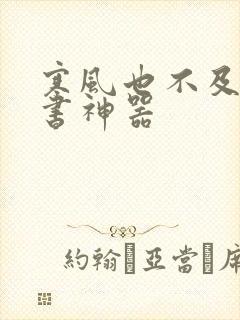 寒风也不及她追书神器