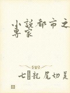 小说都市之军火专家