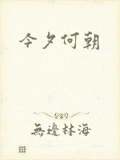 今夕何朝