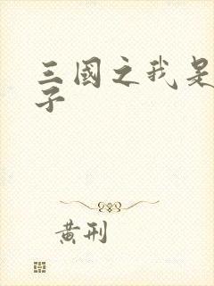 三国之我是皇太子