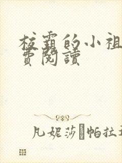 校霸的小祖宗免费阅读