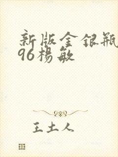 新版金银瓶1996杨敏