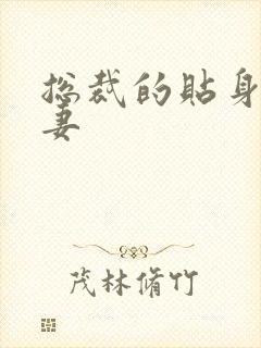 总裁的贴身下堂妻