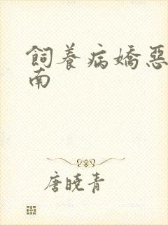 饲养病娇恶龙指南