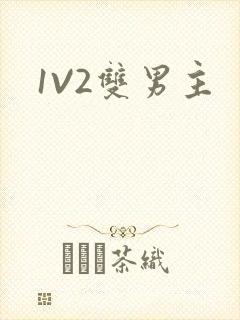 1V2双男主