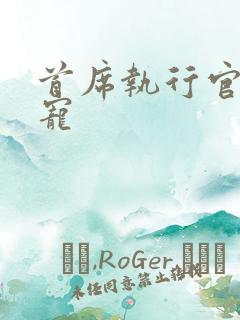 首席执行官的绝宠