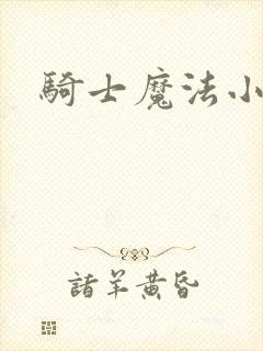 骑士魔法小说