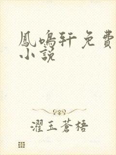 凤鸣轩免费言情小说