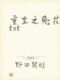 重生之飞花落照txt