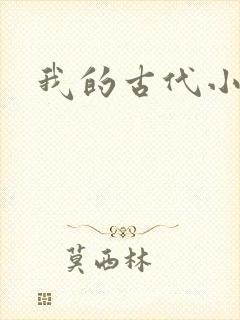 我的古代小夫侍