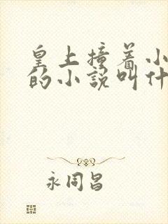 皇上撞着小公主的小说叫什么