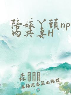 陪嫁丫头np全肉共妻H